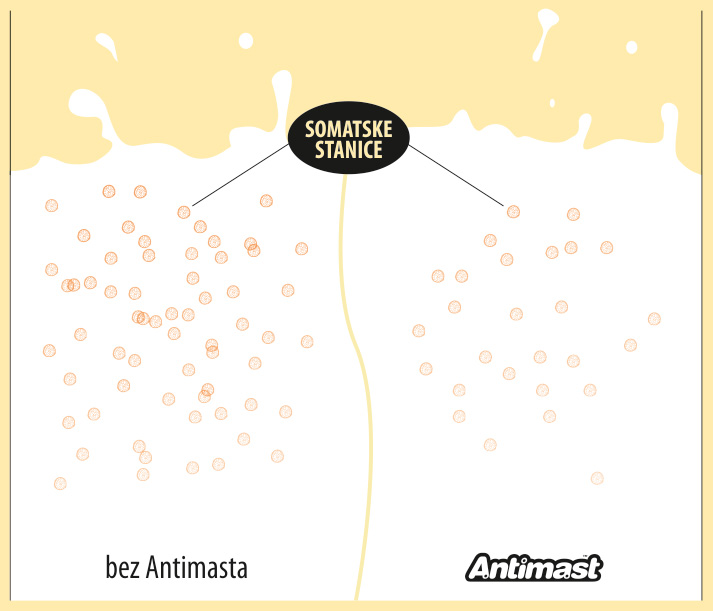 antimast